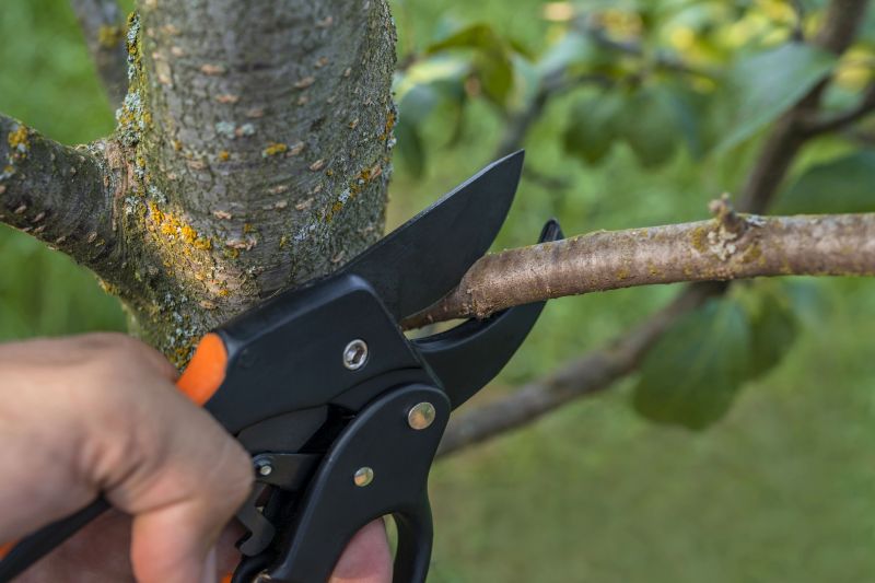 Tree Pruning